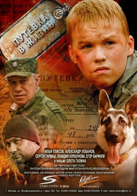 Путевка в жизнь (2013) постер