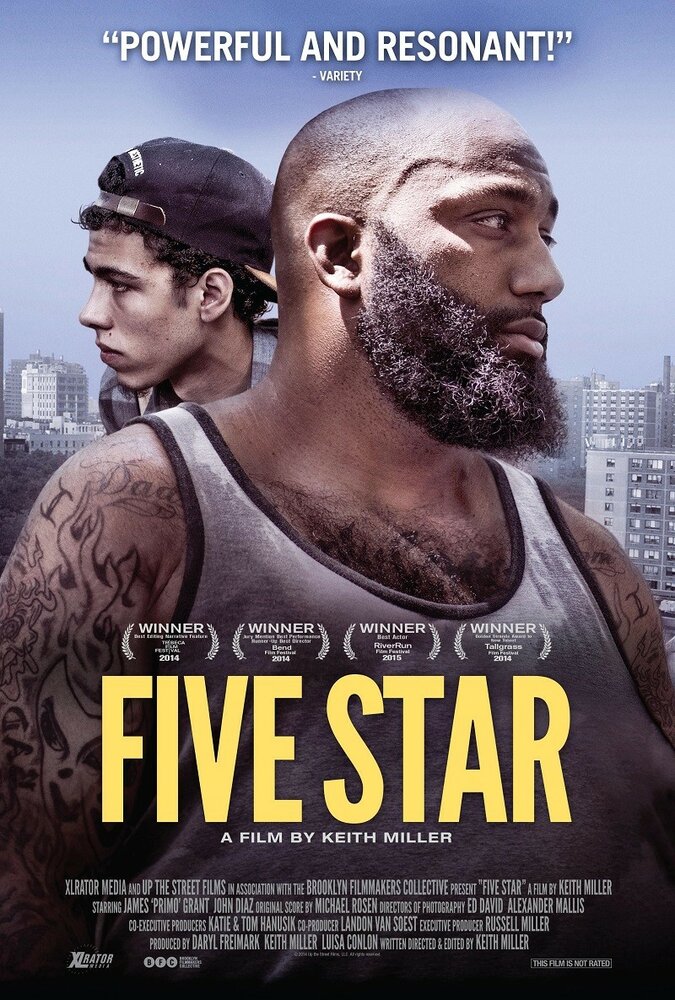 Пять звёзд (2014) постер