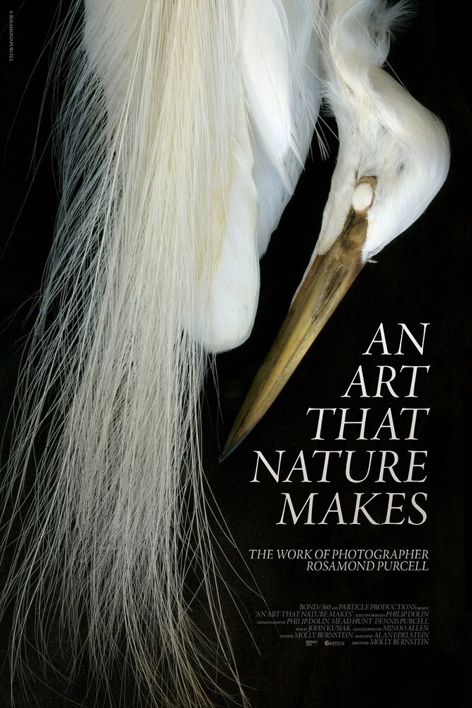 An Art That Nature Makes: The Work of Rosamond Purcell (2015) постер