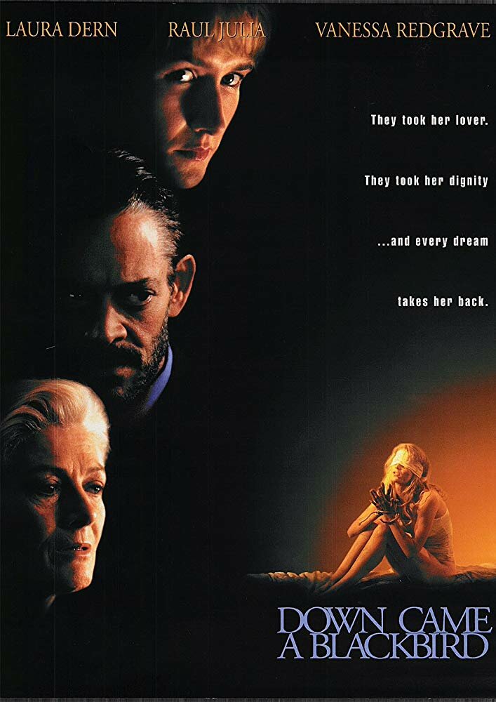 И спустился ворон (1995) постер