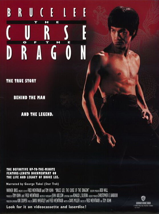 Проклятье дракона (1993) постер