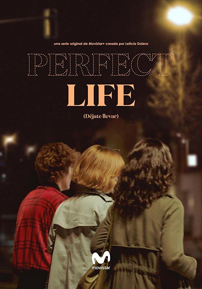 Идеальная жизнь (2019) постер