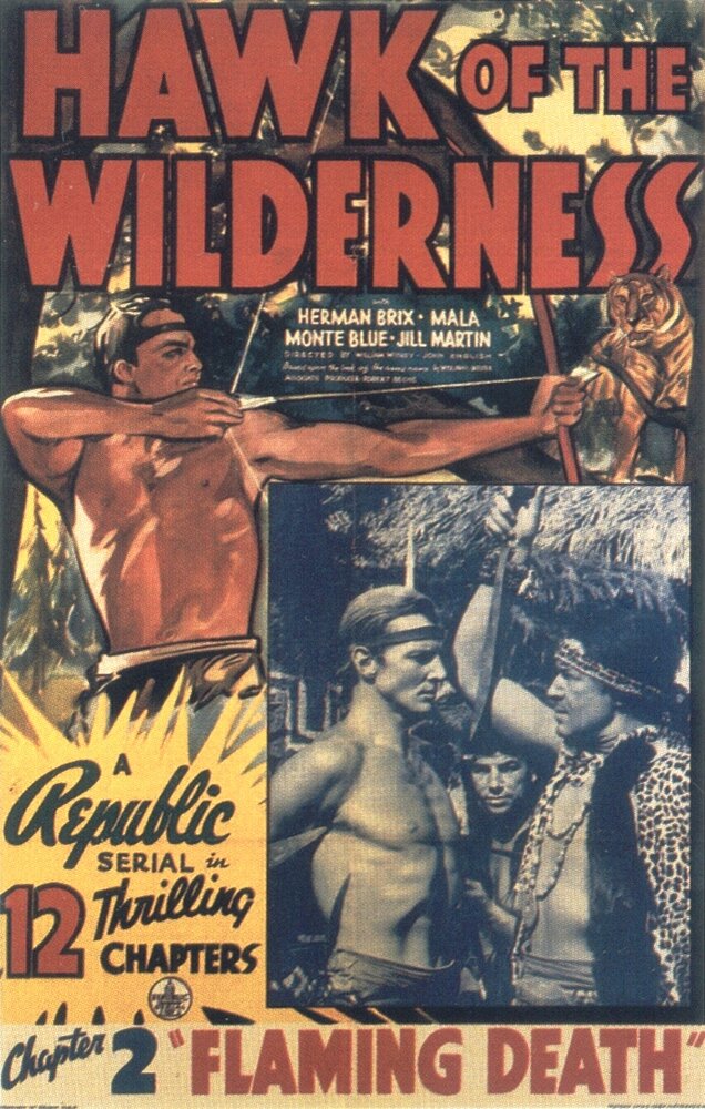 Hawk of the Wilderness (1938) постер