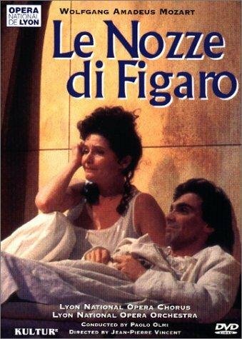 Женитьба Фигаро (1996) постер